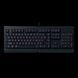 Ігрова клавіатура RAZER Cynosa Lite (RZ03 - 02741500 - R3R1) Фото №1