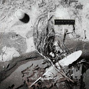 Вінілова платівка David Sylvian - Secrets Of The Beehive 180 Gram Основне Фото №1