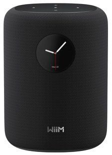 Акустична система WiiM Sound Black Основне Фото №1