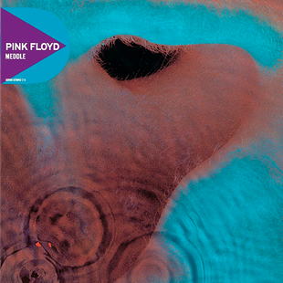 Виниловая пластинка Pink Floyd - Meddle Основное Фото №1