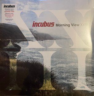 Вінілова платівка Incubus &ndash; Morning View XXIII (2LP) Основне Фото №1