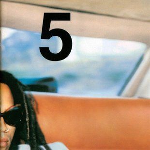 Виниловая пластинка Lenny Kravitz - 5 (2LP) 180 Gram Основное Фото №1
