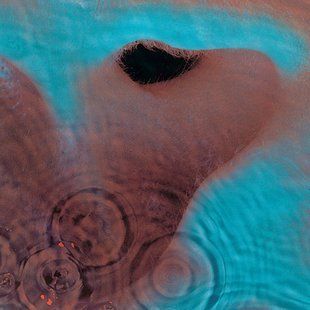 Музыкальный CD диск Pink Floyd - Meddle (Remastered 2011) фирменный Основное Фото №1