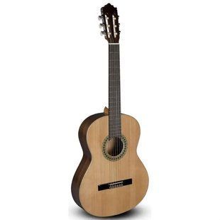 Классическая гитара Paco Castillo Classical (model 201) Основное Фото №1