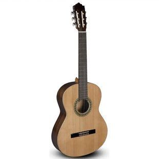 Классическая гитара Paco Castillo Classical (model 201M) Основное Фото №1