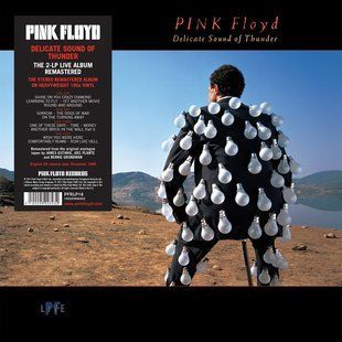 Виниловая пластинка Pink Floyd - Delicate Sound Of Thunder (2LP) 180 Gram Основное Фото №1
