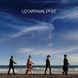 Музыкальный CD диск U2 - Carnaval De Luz фирменный Фото №1