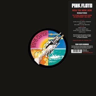 Виниловая пластинка Pink Floyd - Wish You Were Here, Remastered 2025, 180 Gram Vinyl Основное Фото №1