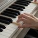 Цифровое пианино Casio AP-S450GBC7 Фото №9