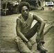 Вінілова платівка Lenny Kravitz - Greatest Hits (2LP) 180 Gram Фото №2
