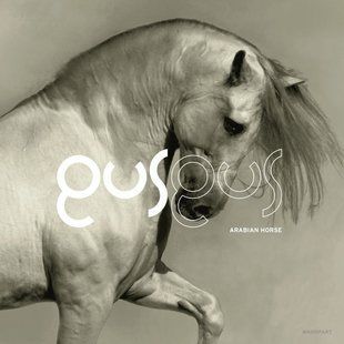 Виниловая пластинка GusGus &ndash; Arabian Horse (2LP) Основное Фото №1