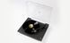 Проигрыватель винила Rega Planar 1 PLUS Black Фото №2