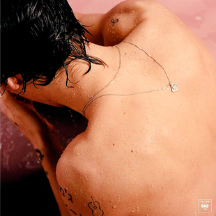 Виниловая пластинка Harry Styles &ndash; Harry Styles.180 Gram Основное Фото №1
