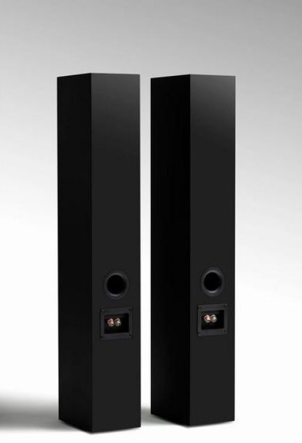 Напольная акустика Tone Speaker L Satin Black Основное Фото №3