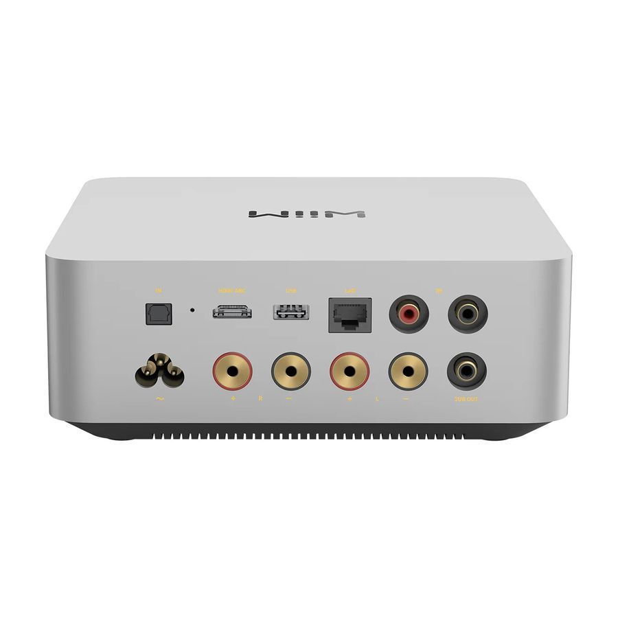 Сетевой проигрыватель с усилителем WiiM Amp Ultra Silver Основное Фото №2