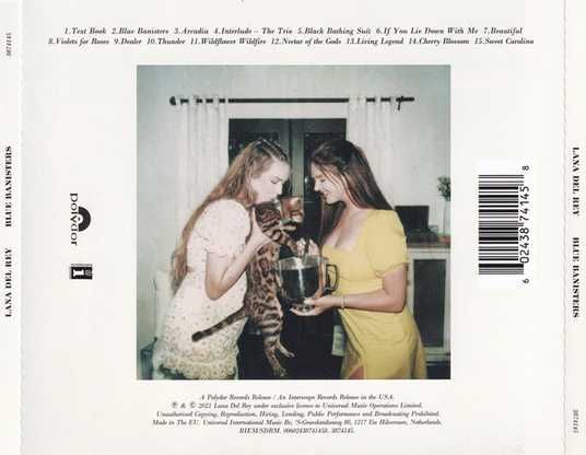 Музыкальный CD диск Lana Del Rey – Blue Banisters фирменный купить