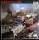 Виниловая пластинка Gary Moore - Still Got The Blues Фото №6
